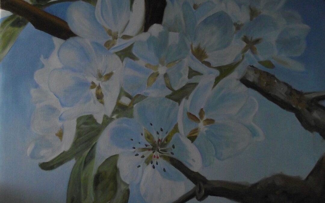 Így készült – Cseresznyefa virág