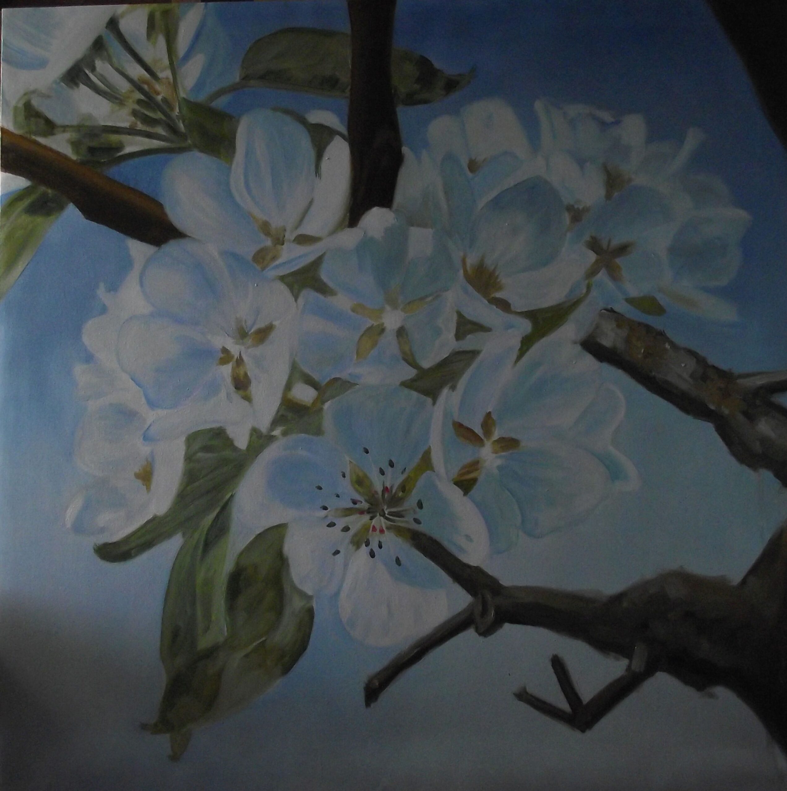 Így készült – Cseresznyefa virág