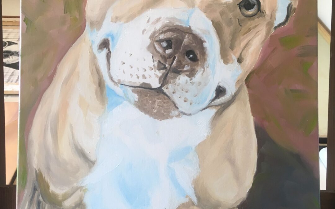 Így készült – Mosolygó Kutya