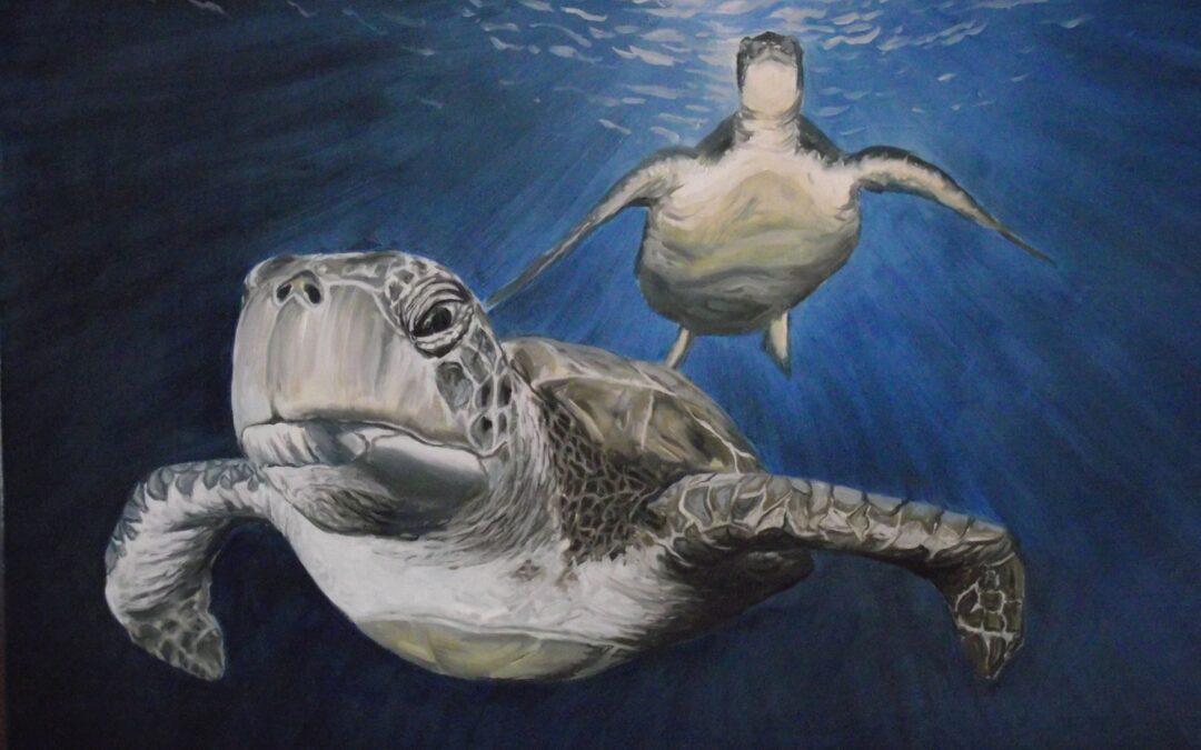 Így készült – Teknősök